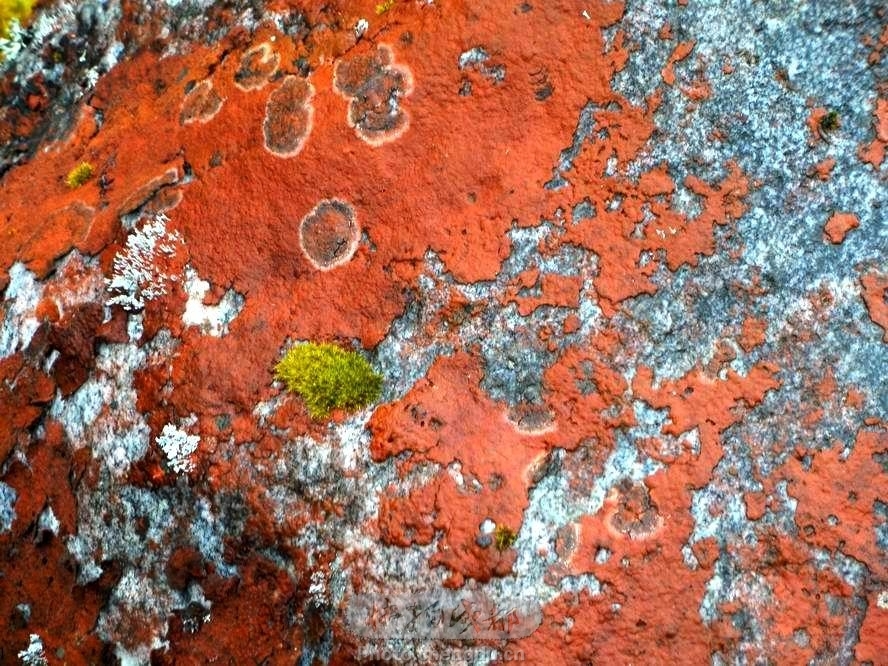 雅西线上最值得一去的景点--燕子沟 by 拍客朱