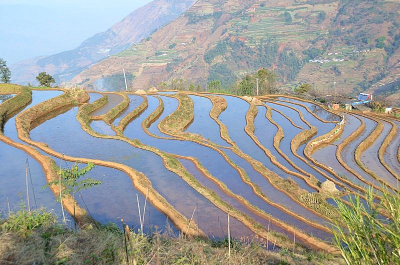 米易新山梯田