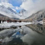 毕棚沟雪景