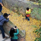 2013-12-7【大邑. 白岩寺】