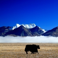 冬天游西藏