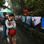 雨中观景