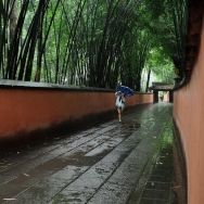      雨中游园...