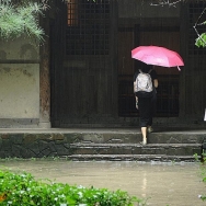     雨归